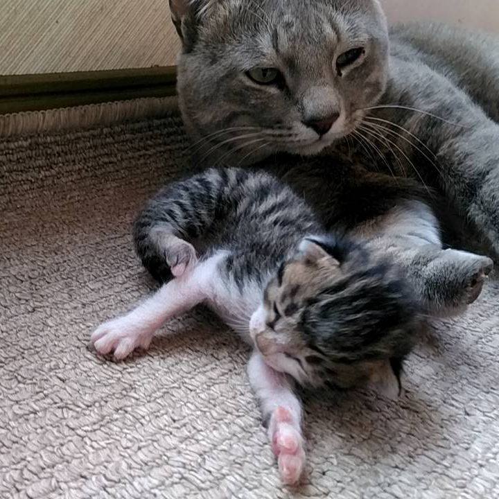 44364af5 fe3b 4281 9453 8dcf8a92656b 1713236238587