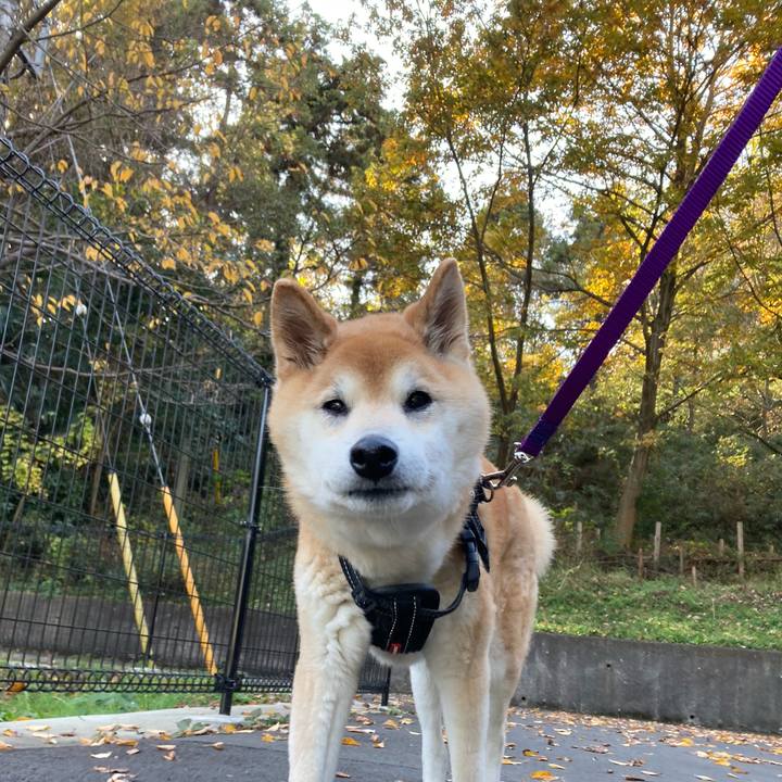 44368370 3506 4843 8b35 3330e102d640 1607410940785