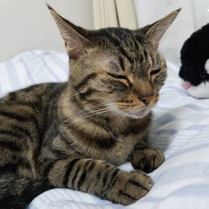 4436a325 8369 42fb 844b e04fbe3fb396 1568324129099