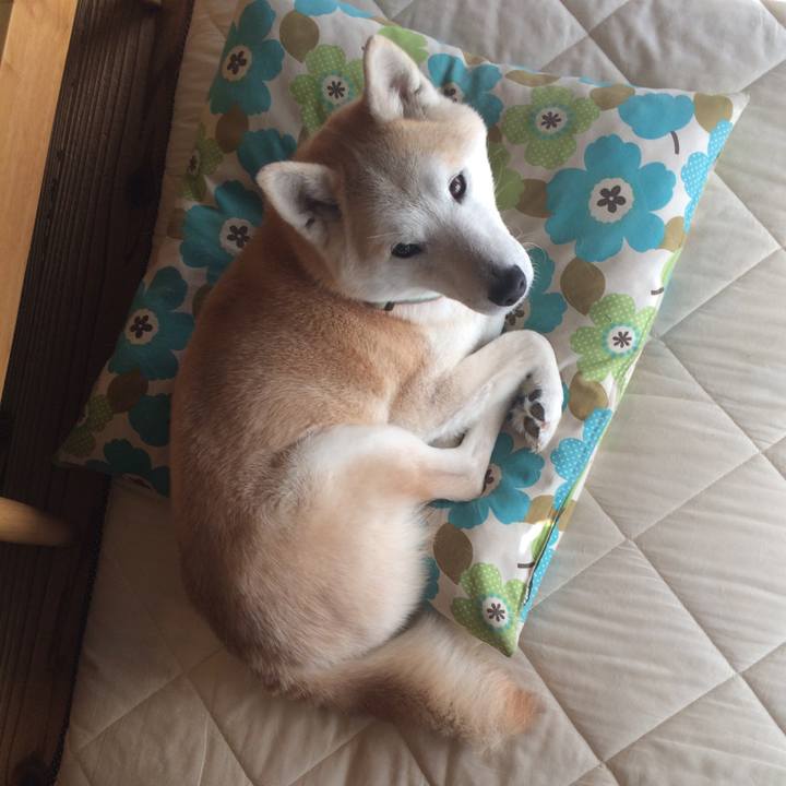 4436aabd ea42 445e bfb3 3104606c9e28 1547733303502