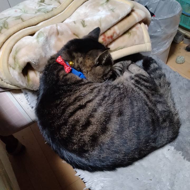 4436d89a 3815 47a2 8830 037becc3bfea 1670363109385