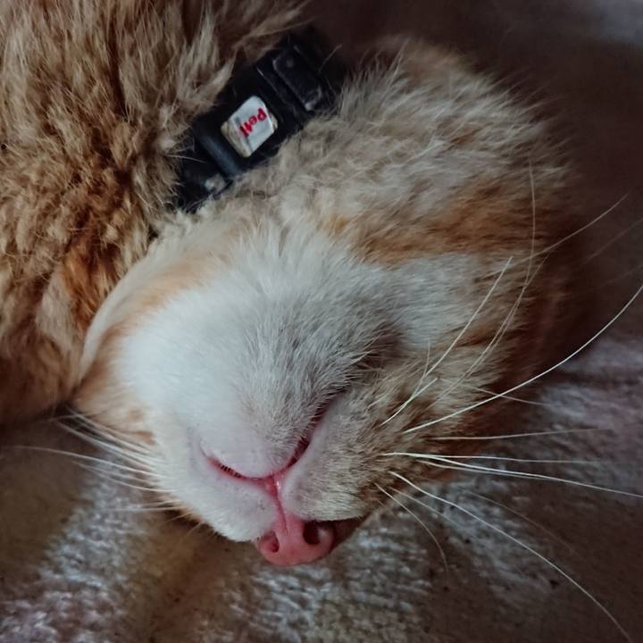 4436f2a2 b9fe 4518 9d22 c57b97e0ceb7 1660633133031