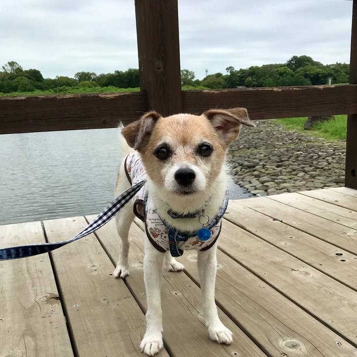 443752c6 b59e 4c5a 8096 d858d8cf7020 1662174005266