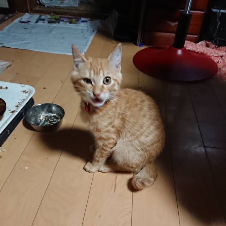 44375350 23cb 4cb4 b662 9eb8a0e438f5 1633119997218