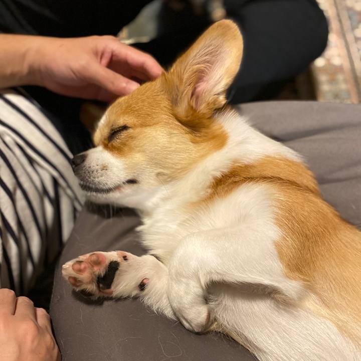 4437549f 751b 4fc7 9311 4880f83b9356 1601203180683