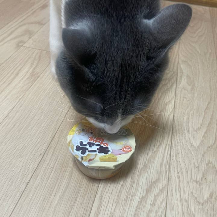 4437842d 9d6b 4839 8f2b 33c33c288ee9 1645529294241