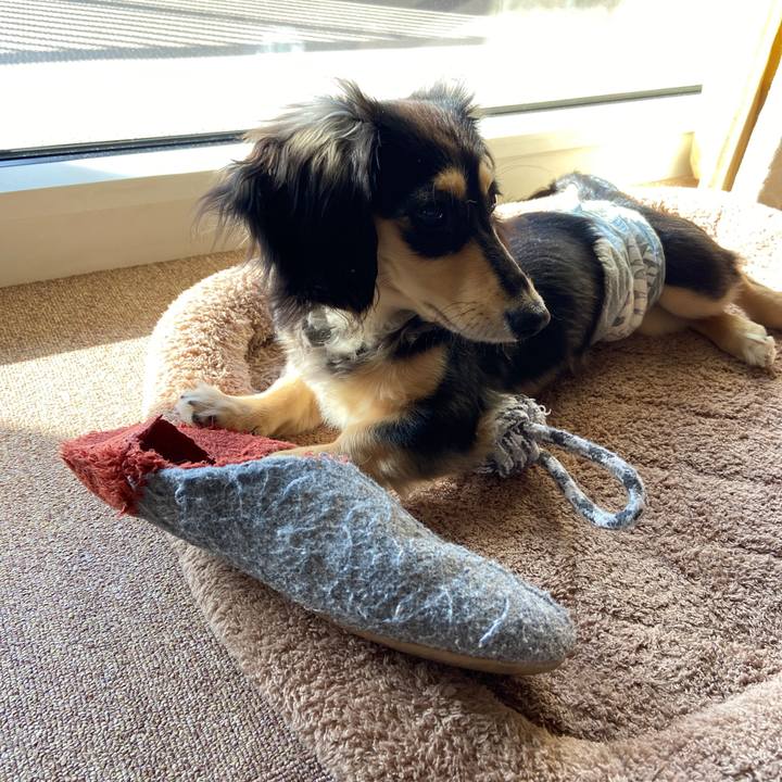 44378834 4185 4ddd 96d2 2dd80ab58d3b 1676677725834