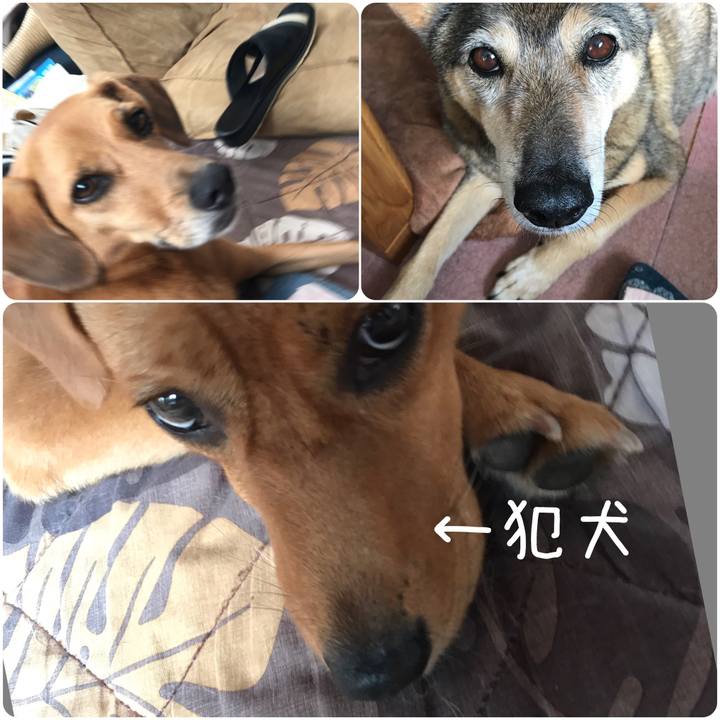 4437e014 bce6 43b4 892a fe74ff4c9601 1535326130876