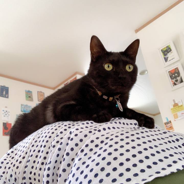 4437e734 0439 4b3f 9e48 4ef81a3ab8f9 1560502319185