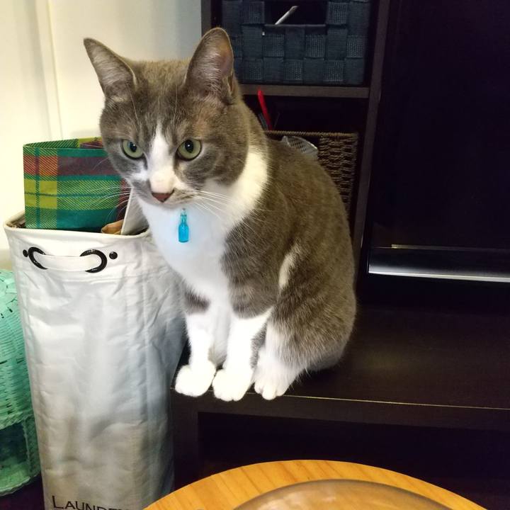 4437e7bb 11fe 44c2 9591 54929cfbfc48 1649627471471