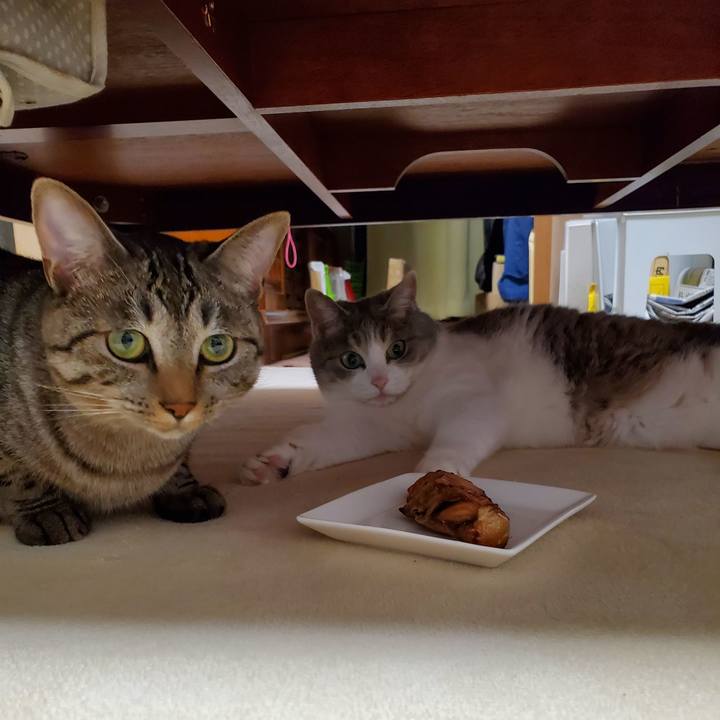 44380f3a d718 4e25 b9bd 3e270f831397 1694069603427