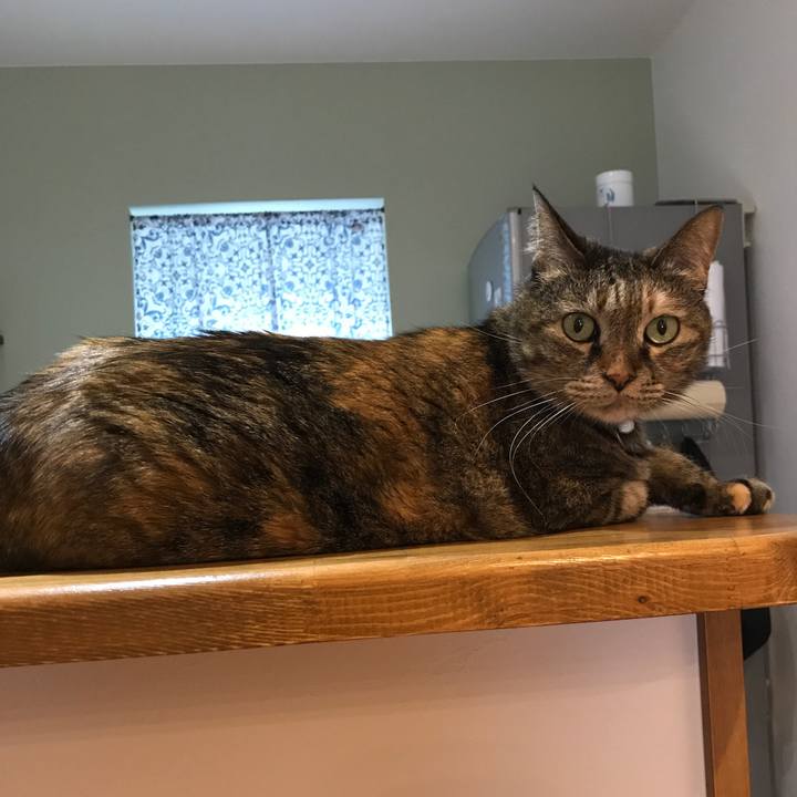 44381bf9 1020 45de baf7 dc261e102999 1562391025367