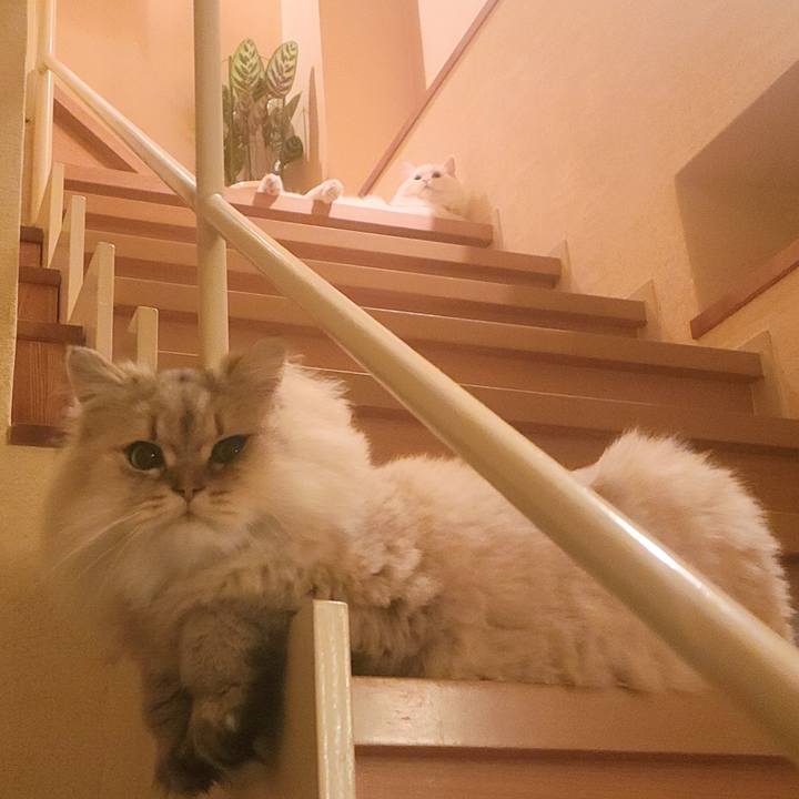 443833d4 64e0 4b9c b505 6626ec5b6d3b 1668144317115