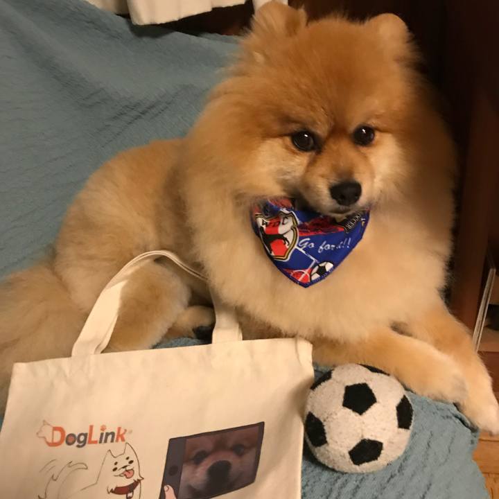 44383cdf f076 4fa9 877d d2315fa309ca 1529672619409