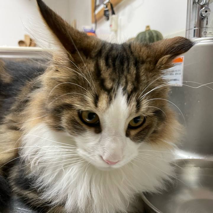 443846d1 bff4 4018 be13 d508751df53a 1639470596951