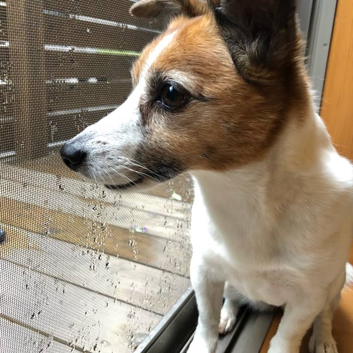 44385a2d c2fb 4fb7 b587 41cbde62e2d2 1529472478317