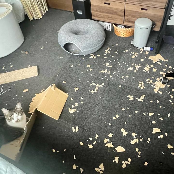 4438b314 9b1c 485d aa2d d12be8da58f8 1758672261414