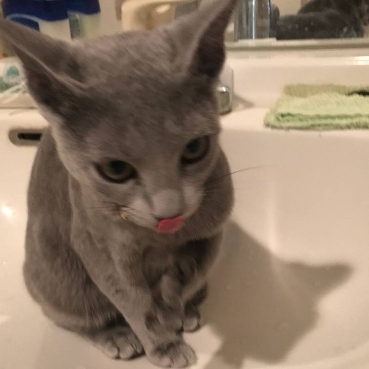 4438bdad cb2e 427f 87df f427ada10d64 1512559787440