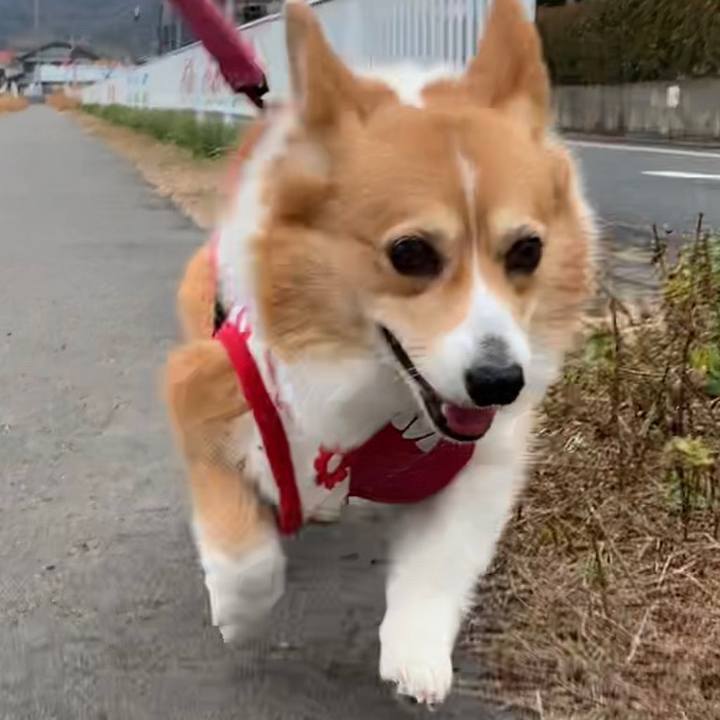 4438cd4c a8c2 4458 9d9c 4d54313efaa5 1674439300978