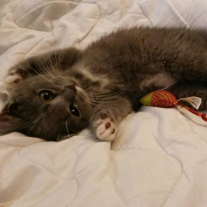 4438eb37 1bbe 4014 9f07 d353e79f9cfb 1531401396321