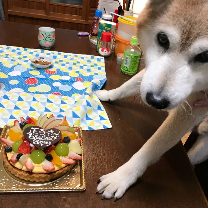 4438f3be 6d22 4e54 88c0 7e971445157e 1516278717318