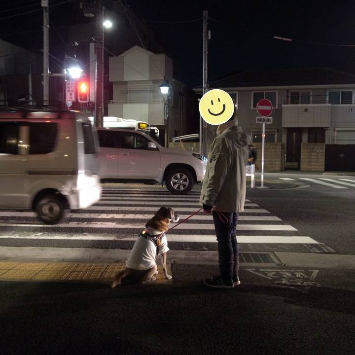 4438ffe1 621d 4367 a4fd ea41594b1c58 1596937889331