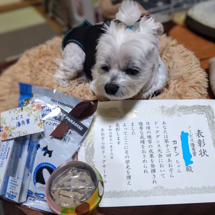 443921fe a081 47dd a18c 98263242253b 1731833293967