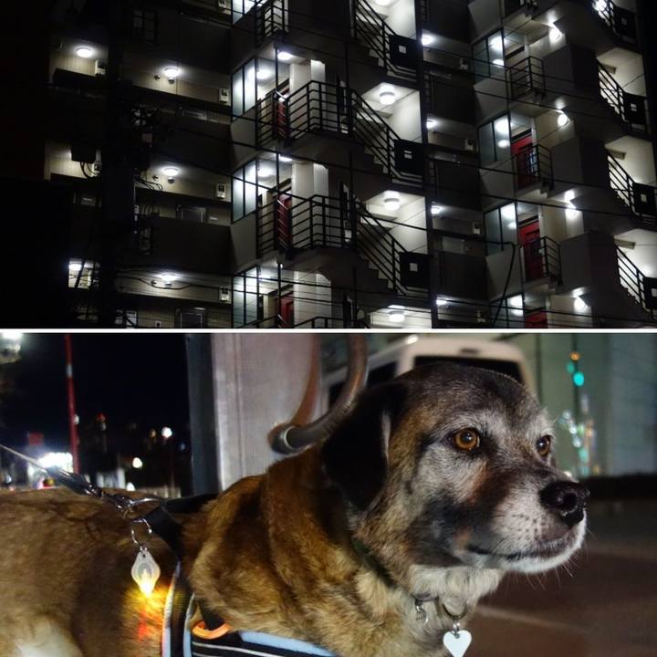 443952c5 416a 45e6 8a8d 027f9698f2a0 1546514119924