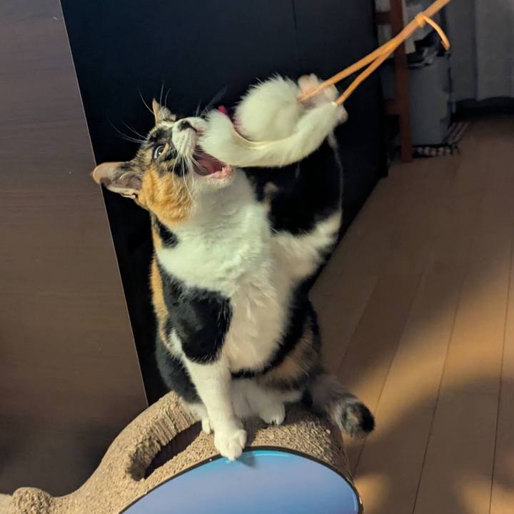 44396d8b 35f9 433f 8897 e0dbcafafd9f 1766916142557