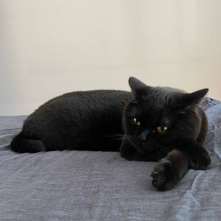 4439c178 d6d4 4bb5 bf43 5a8d7035110c 1634442892045