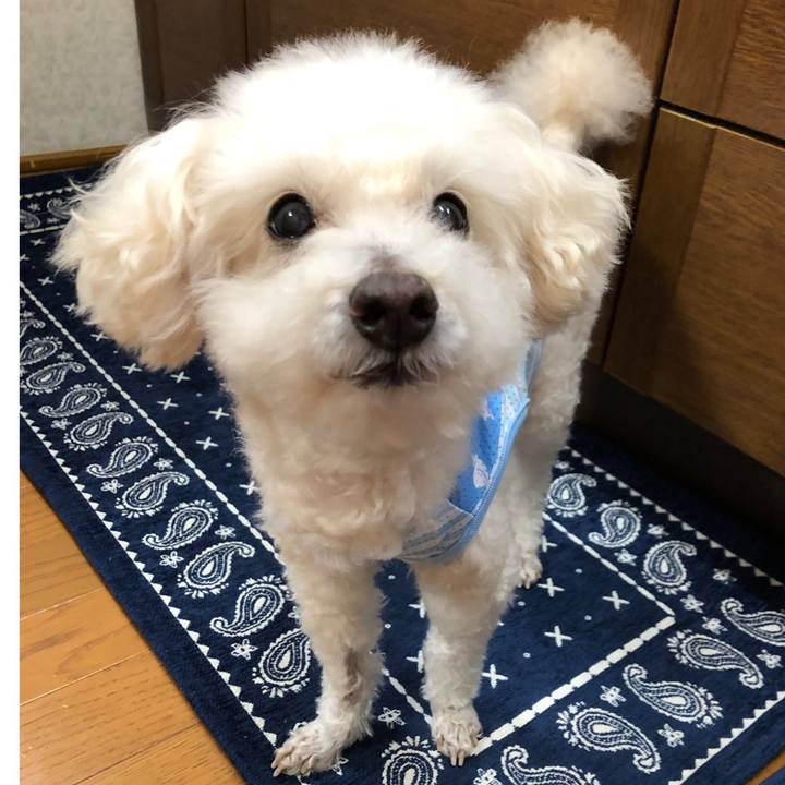 443a1f8e 7659 4297 a8ee 2060d8204647 1560434154753