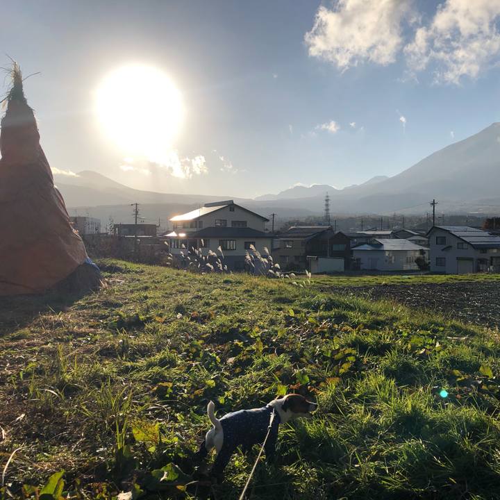 443a6e70 8a8a 437f b8e2 9eaab74b96b6 1573545017742