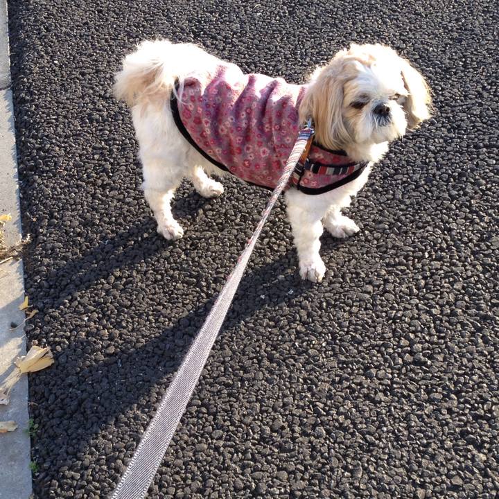 443a79c5 e029 4671 9cf1 ea6b96e5f239 1512941633132