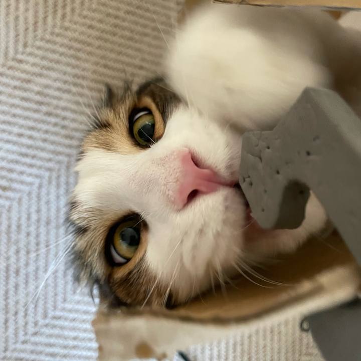 443aa49c ca79 4a61 a274 6446efecfefa 1660167939123