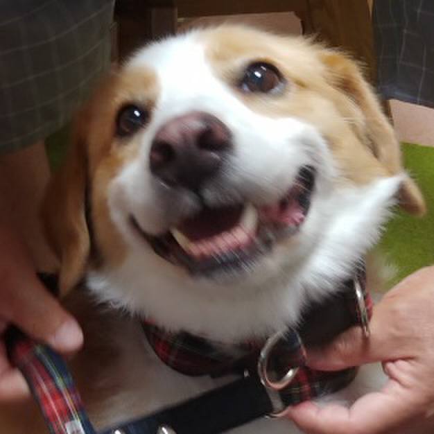 443acf78 d201 4a17 bab4 b035c7177879 1533424476459