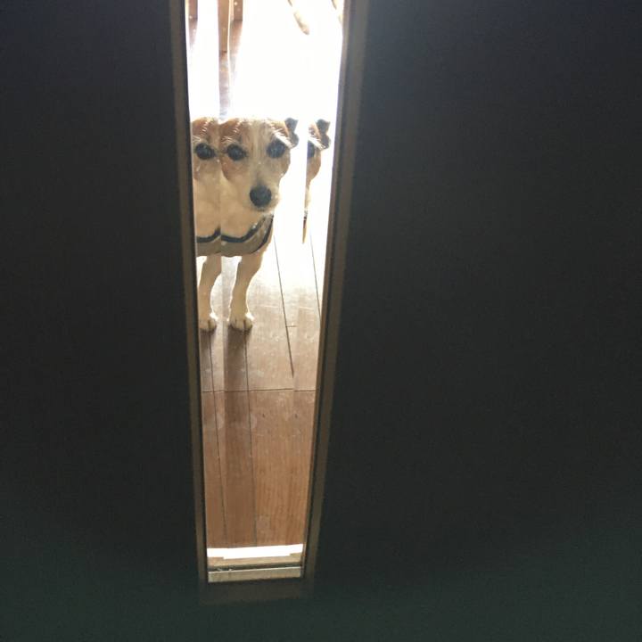 443b1d85 cc7d 4b2e 8b4e 761fc3de991b 1614990847619