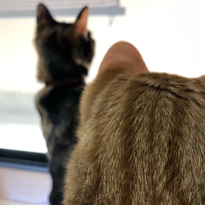 443b5fda 2c36 435e 9604 c75b430fa056 1555560288604