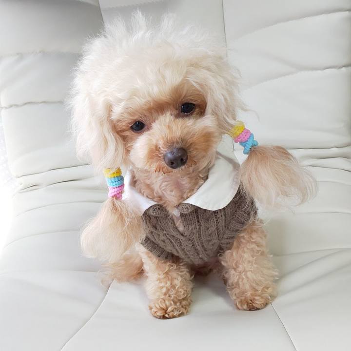 443b7460 c76f 4b43 8f34 046f4a1fa810 1580967152508