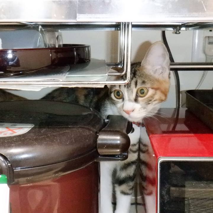 443b8385 ac19 48b1 8e8f e204641e87b9 1632797170109