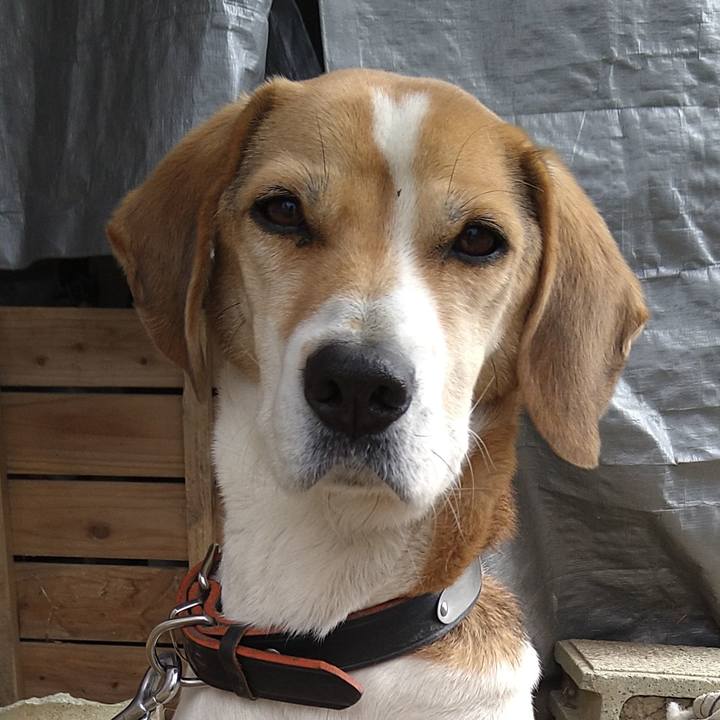 443ba48a 0f3d 4b78 ad21 421693a03f39 1642492004407