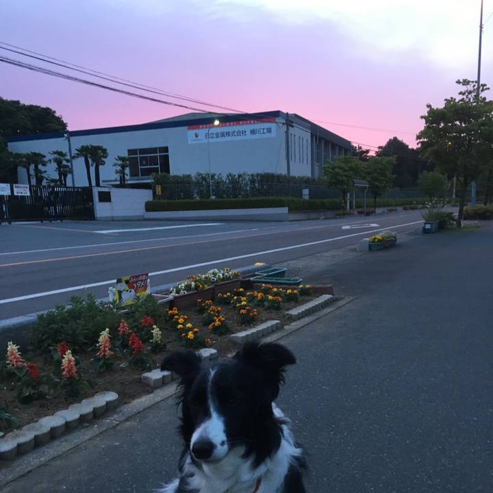 443bbdb7 2f34 412e bfc0 b88e2921762b 1526857418793