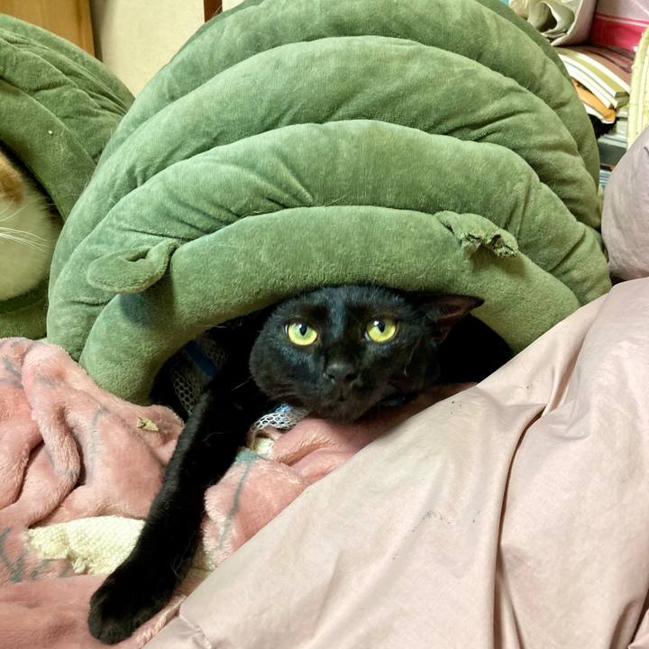 443bee26 5b83 45ca 8306 e2068a04bee4 1665216935042