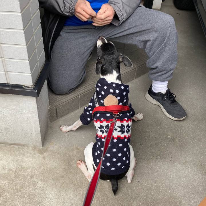 443c0934 b986 4174 adb6 44276a11b520 1582337883084