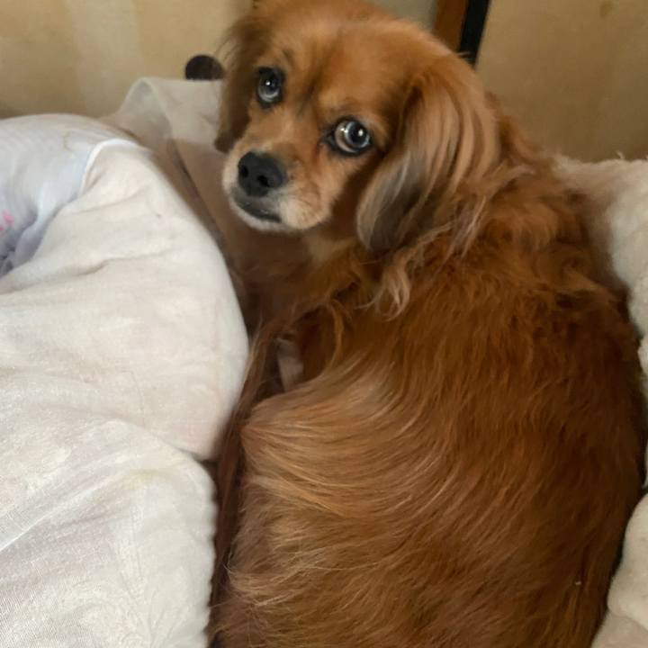 443c12b5 1709 4fd6 bef1 272dcd259769 1668116984334