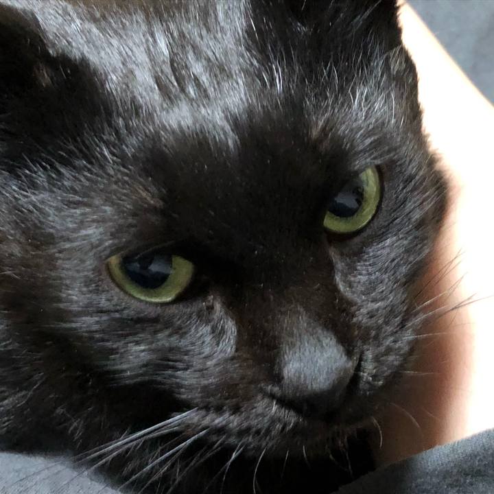 443c1b75 4bc3 4064 9e2e e4acf378f900 1612361131110