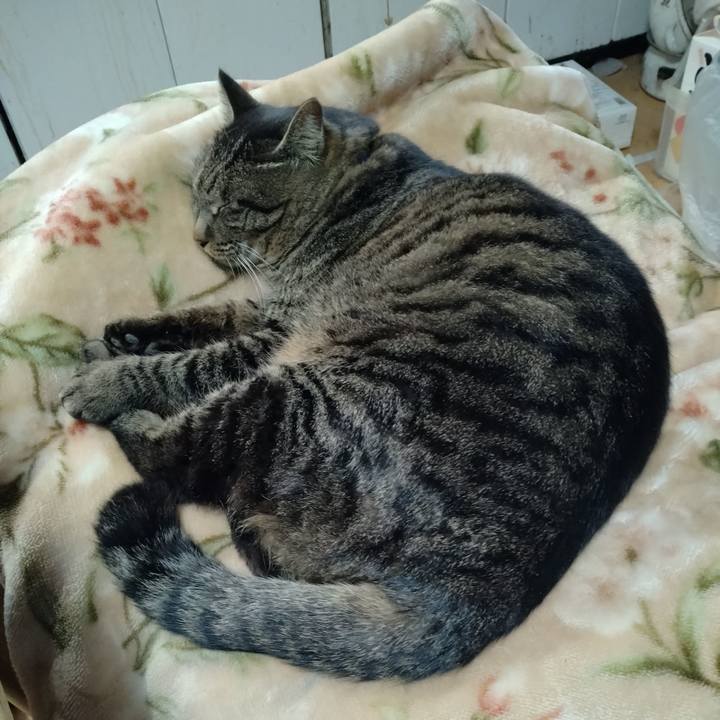 443c6652 79f5 46ed 8143 f4150785244f 1674025273937