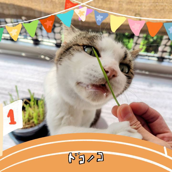 443cc46a 18b0 4ed9 a8c1 146d6bfc813c 1761452221904