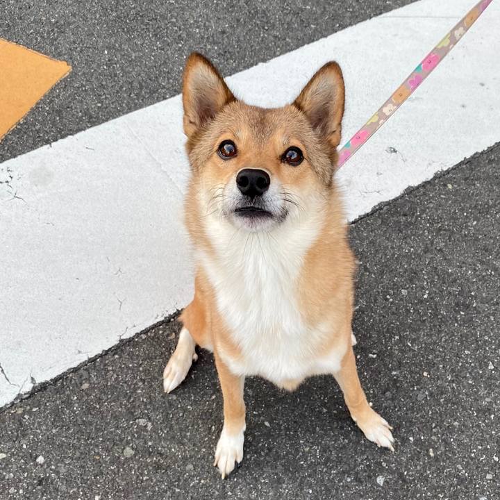 443ccf77 2531 4850 a828 c16efa1c8c05 1572666362912