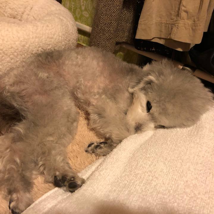 443d4bfa bf66 45ca b173 d4e17c569ca4 1583936633940