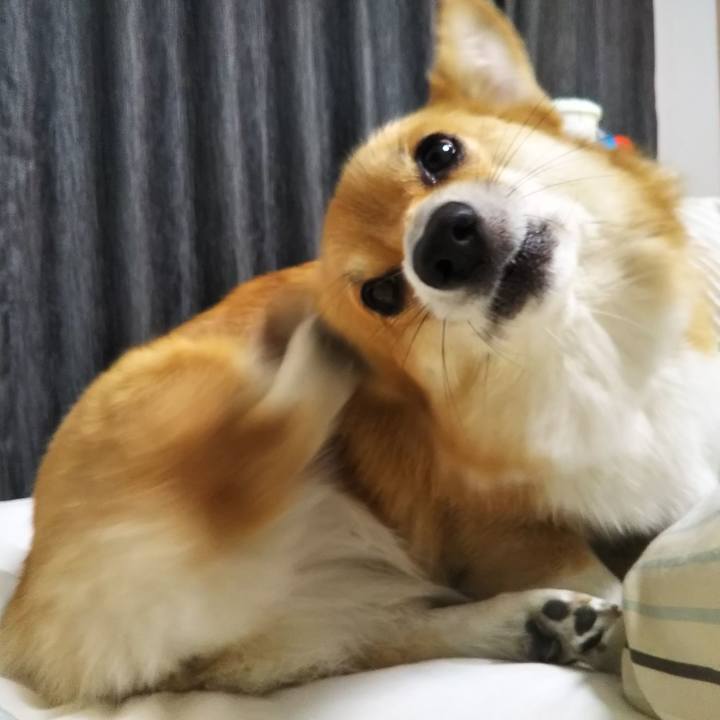 443d5e9d 1986 43ae ae7c bc432be62c56 1541517239557